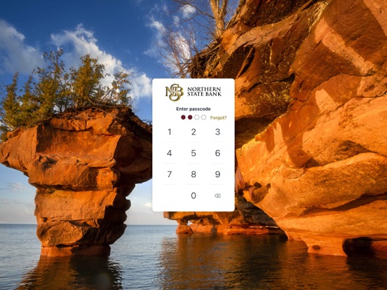 My NSB iPad screenshot 2 - Finance app