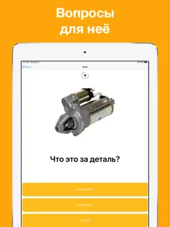Boys vs Girls: Fun quiz game iPad image 2