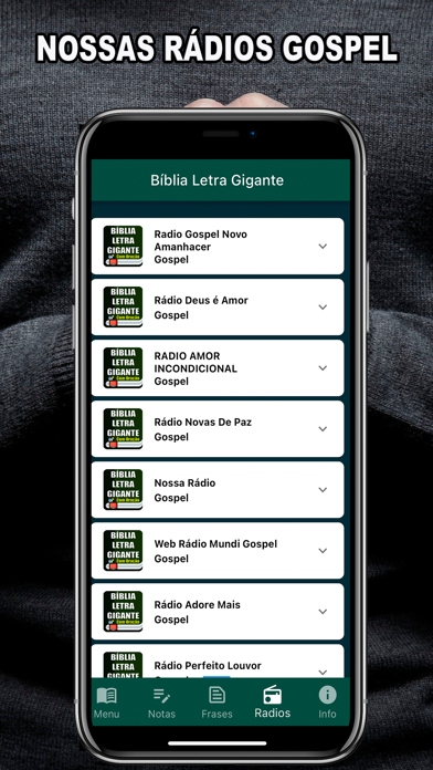 Bíblia Letra Gigante Screenshot