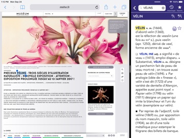 Dictionnaire Robert Historique iPad screenshot