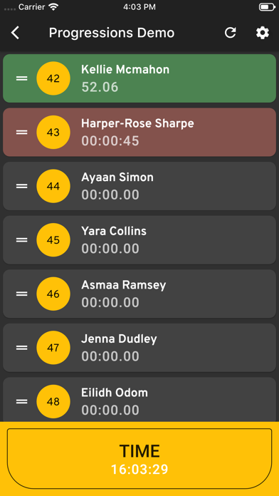 RaceGorilla Pro Screenshot