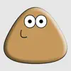 Pou contact