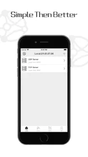 tcp udp debugger iphone screenshot 1