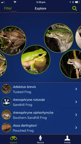 Game screenshot FrogID mod apk