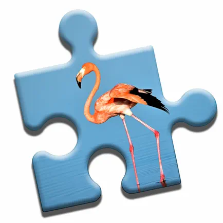 Florida Jigsaw Puzzle Cheats