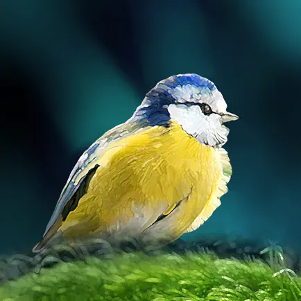 Birds of Britain and Europe Cheats