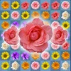 Blossom Link: Flower Valley - iPadアプリ