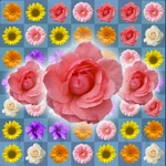 Download Blossom Link: Flower Valley app