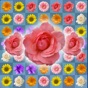 Blossom Link: Flower Valley app download