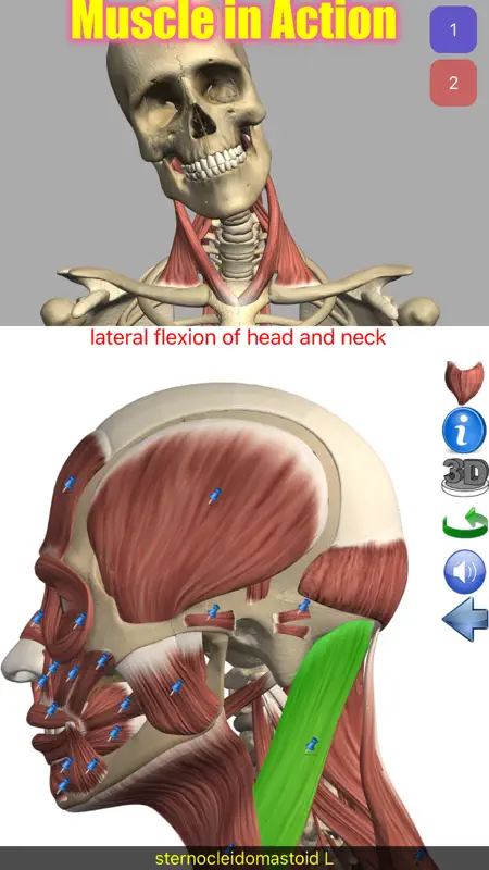 Visual Anatomy screenshot 1 of 10