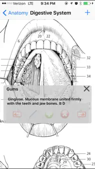 Anatomy Atlas iphone bilder 3