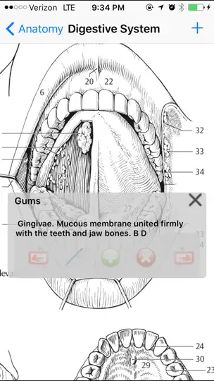 Capture d'écran de Anatomy Atlas sur iPhone 3
