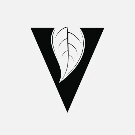 The Vine Church - Goshen Читы