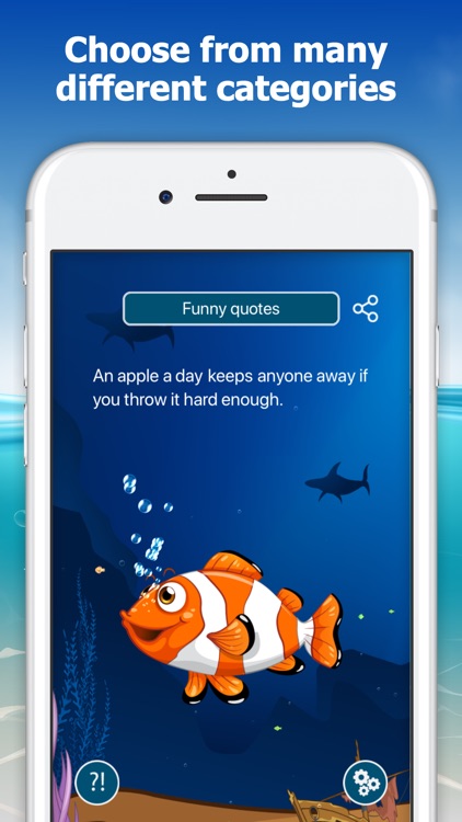 The Conch Shell: Magic answers