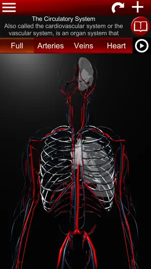Circulatory System 3D Anatomy screenshot 1