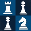 Play Chess - Single Play icon