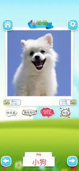 Game screenshot 认动物 -看图识字学说话 hack