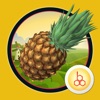 OOBEDU Fruits and Vegetables icon