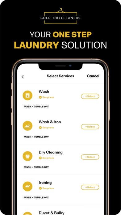 Gold Dry Cleaners Screenshot