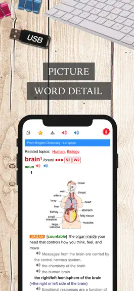 Game screenshot LMDict - English Dictionary hack