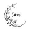 Sakura Akademi icon