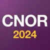 CNOR 2024 Test Prep problems & troubleshooting and solutions