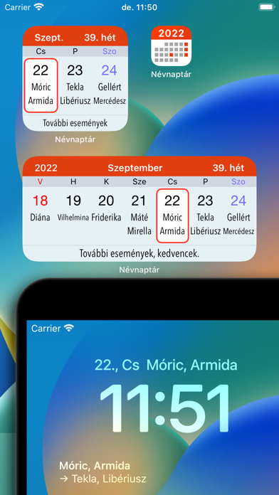 Névnaptár Screenshot