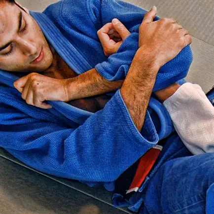 BJJ Blue Belt Requirements 1.0 Читы