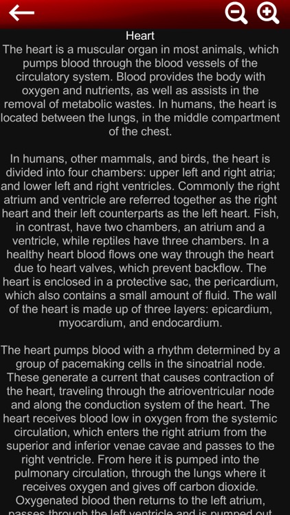 Circulatory System 3D Anatomy screenshot-5