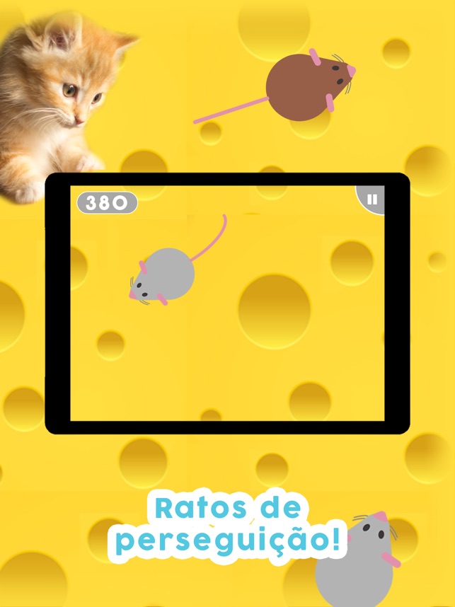 Jogos para Gatos - Barata for Android - Free App Download