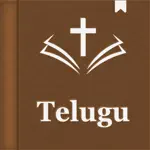 Telugu Holy Bible Audio App Positive Reviews