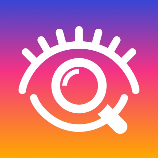 Insta AnonStory iOS App