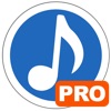 Music Converter Pro