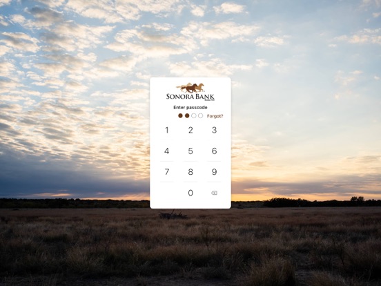Sonora Bank iPad screenshot 2 - Finance app