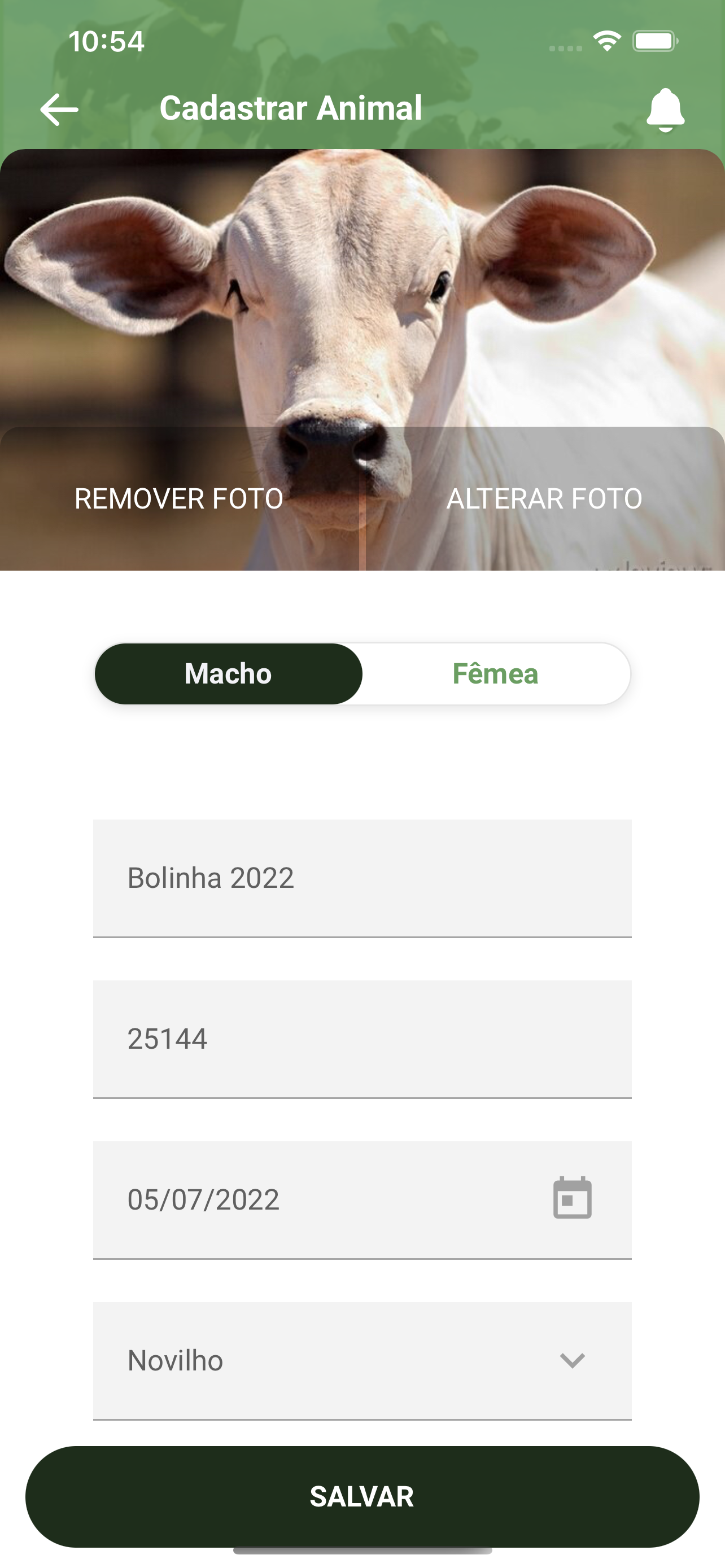 ProCampo