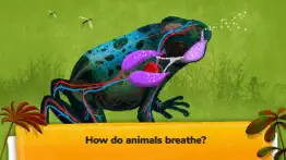 the animals - games for kids iphone screenshot 3