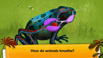 The Animals - Games For Kids Screenshot