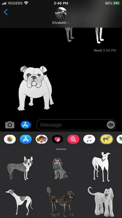 Dogs Dogs Dogs Screenshot