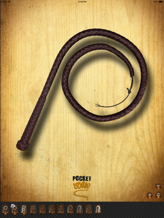 Pocket Whip: Original Whip App screenshot 2
