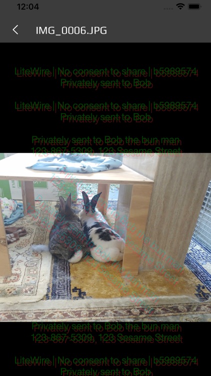 LiteWire Messaging screenshot-4