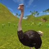 Flapless Flight Ostrich Game icon