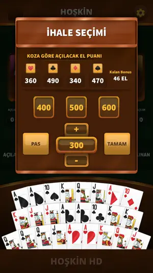 Hoşkin HD screenshot 3