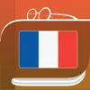 French Dictionary & Thesaurus App Positive Reviews