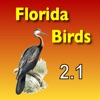 Birds of South Florida icon