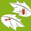 Plant diseases and pests - iPhoneアプリ