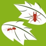 Download Plant diseases and pests app
