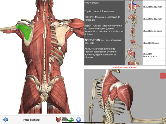 Screenshot #5 pour Visual Anatomy