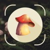 Mushroom ID : Identifier, Scan icon