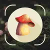 Mushroom ID : Identifier, Scan problems & troubleshooting and solutions