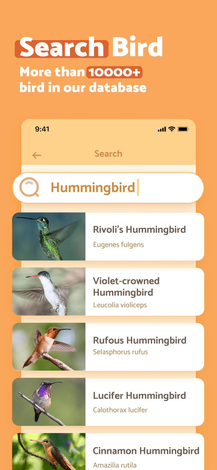 BirdScan - Identify Bird